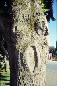 0290 městečko Panguipulli.jpg